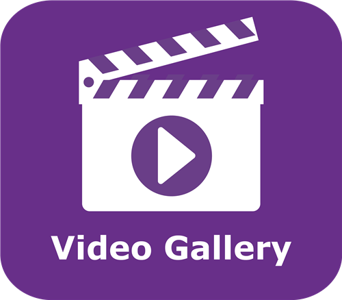Video Gallery 
